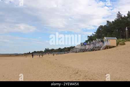 Wells next the sea or Wells-next-the-sea beach huts North Norfolk coast Stock Photo