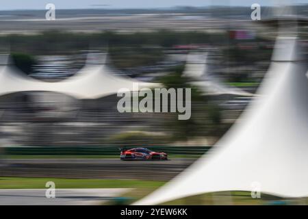 Sakhir, Bahrain. 1st Nov 2024. TEAM WRT No.31 - BMW M4 LMGT3, Darren Leung (GBR), Sean Gelael (IDN), Augusto Farfus (BRA) during P3. Ahmad Al Shehab/Alamy Live News. Stock Photo