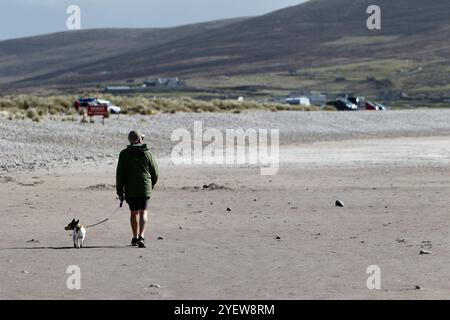 middle aged man walking small dog on keel beach Achill island, county mayo, republic of ireland Stock Photo