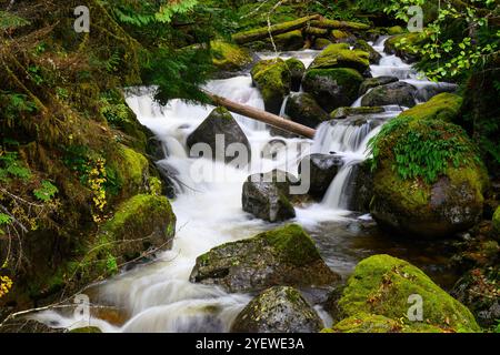 Damp mountain stream scenewith  green moss and falling fresh water over rocks Stock Photo