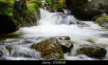 Turbulent mountain stream falling between moss covered boulders in Fall Stock Photo