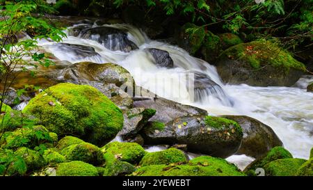 Fresh water mountain stream falling through green moss covered rocks Stock Photo