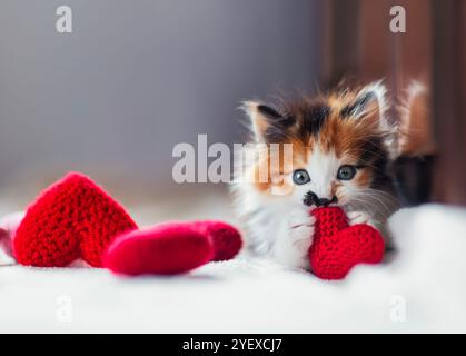 cute kitten lying on white blanket with red heart in paws Stock Photo