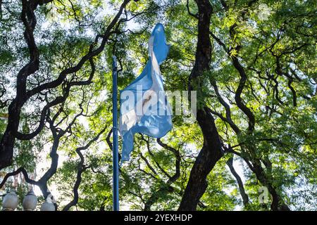 Argentine flag flying on a flagpole against a trees on background. Patriotic symbol of Argentina. Buenos Aires, Argentina Stock Photo