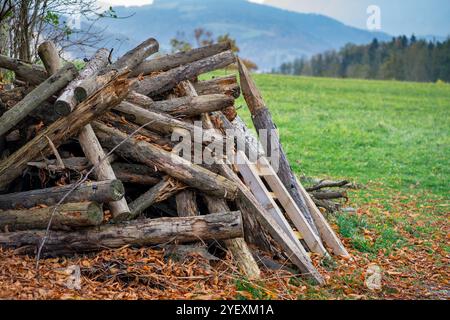 A pile of logs from cut trees lie near the house against the backdrop of the mountains Stock Photo