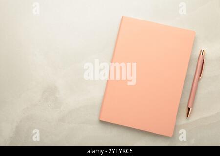 Notebooks and pen on light background, top view Stock Photo