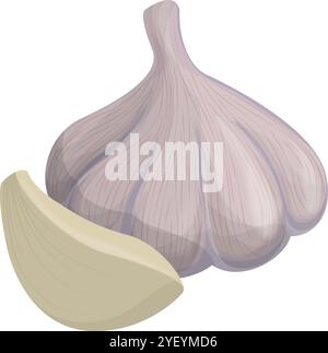 Detailed Cartoon Garlic Bulbs and Cloves for Food Concepts Stock Vector