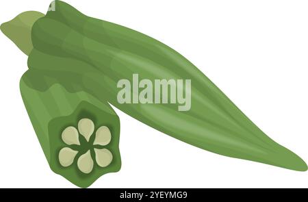 Fresh Ladyfinger Okra with Half and Sliced Pieces Vector Image Stock Vector