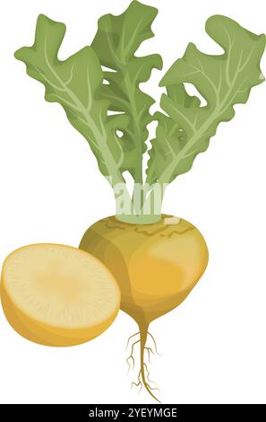 Vibrant Turnip Vegetable Vector Icon for Healthy Food Graphics Stock Vector