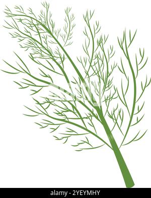 Enriched Dill Herb Vector Illustration for Organic Food Stock Vector