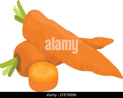 Vector Illustration of Whole and Cut Carrot in Trendy Style Stock Vector