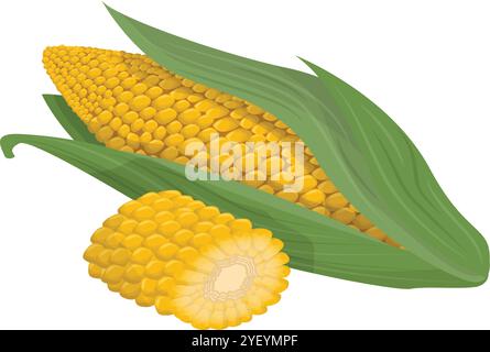 Organic Corn Maize Vector Illustration for Natural Food Graphics Stock Vector