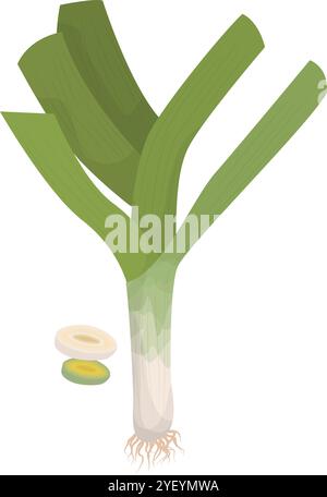 Vector Illustration of Fresh Leek or Green Chives with Cuts Isolated on White Stock Vector