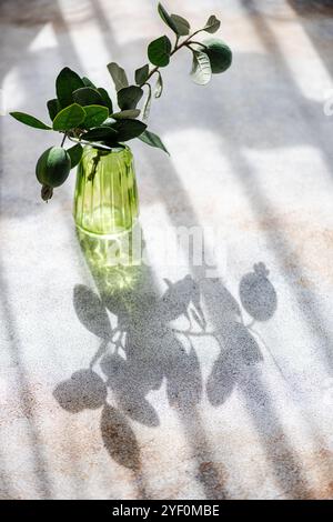 Close-up of a green Glass green vase with Feijoa fruit and branch on a table Stock Photo