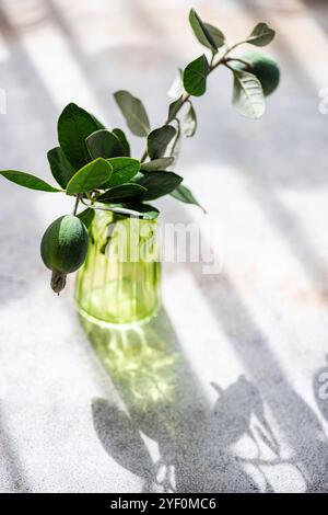 Close-up of a green Glass green vase with Feijoa fruit and branch on a table Stock Photo