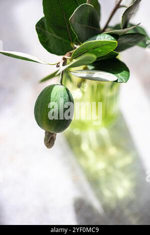 Close-up of a green Glass green vase with Feijoa fruit and branch on a table Stock Photo
