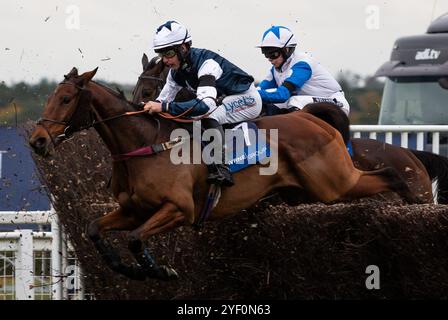 Ascot, UK, Saturday 2nd November 2024; Martator and jockey Charlie Deutsch win the Byrne Group Handicap Steeple Chase (Premier Handicap) for trainer Venetia Williams and owner Camilla Norton. Credit JTW Equine Images / Alamy Live News. Stock Photo