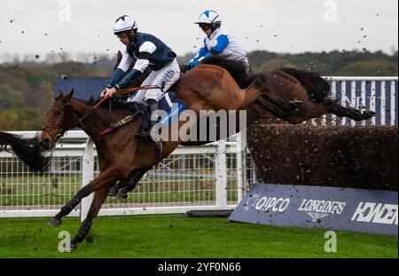 Ascot, UK, Saturday 2nd November 2024; Martator and jockey Charlie Deutsch win the Byrne Group Handicap Steeple Chase (Premier Handicap) for trainer Venetia Williams and owner Camilla Norton. Credit JTW Equine Images / Alamy Live News. Stock Photo