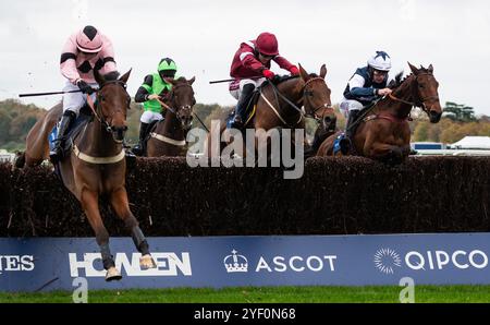 Ascot, UK, Saturday 2nd November 2024; Martator and jockey Charlie Deutsch win the Byrne Group Handicap Steeple Chase (Premier Handicap) for trainer Venetia Williams and owner Camilla Norton. Credit JTW Equine Images / Alamy Live News. Stock Photo