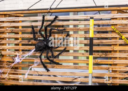Large black spider Halloween decoration on wooden fence, with faux cobweb and caution tape accents. Stock Photo