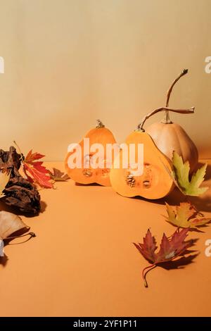 Half cut and one whole butternut squash, and many drive leaves. Season concept. Stock Photo