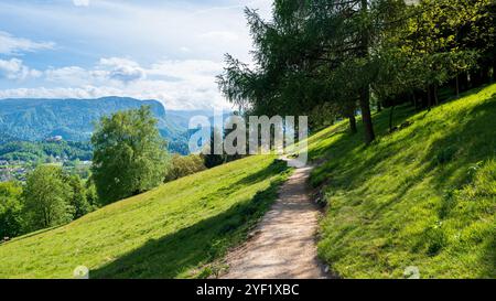Hillside dirt path through the countryside, mountain in the background Stock Photo