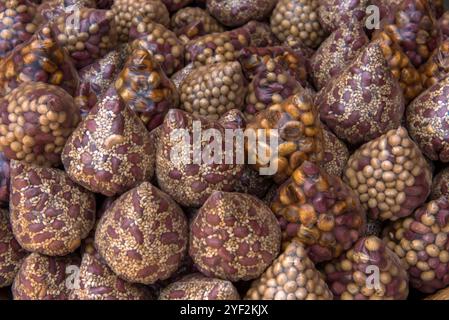 Nuts and sees on sale at Masindi market, Western region, Uganda. Seed peanut 016811 062 Stock Photo