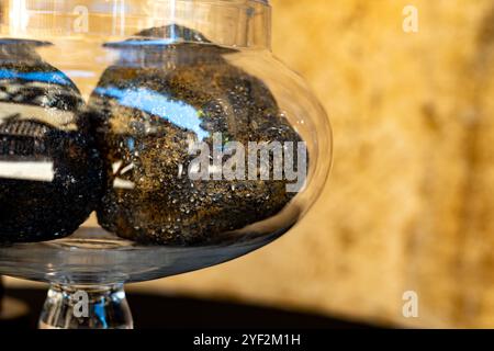 Winter truffle fair in Sarlat-le-Caneda, Perigord Noir, Dordogne, one huge black winter truffle, tasty aromatic expensive mushroom Stock Photo