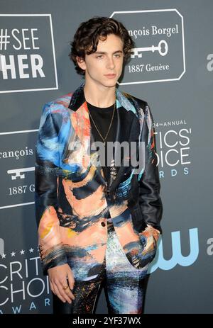 Timothee Chalamet at the 24th Annual Critics' Choice Awards held at the Barker Hangar in Santa Monica, USA on January 13, 2019. Stock Photo