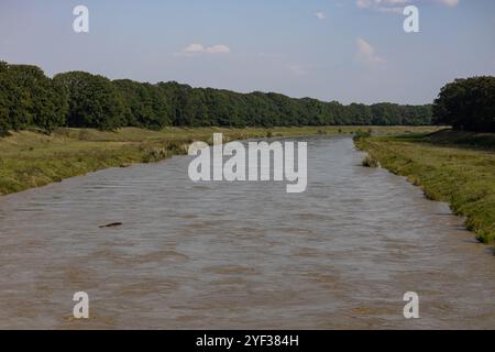 Overflowing river with strong current after heavy rainfall carrying a floating log between grassy riverbanks under a blue sky Stock Photo