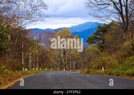 Autumn fall foliage Mountain at Bandai Azuma Skyline at Mt.Bandai in Fukushima, Tohoku, Japan. Stock Photo