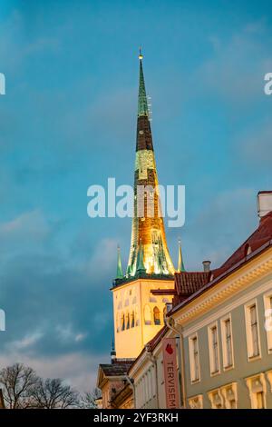 The tall spire of the bell tower of St. Olaf’s Church or St. Olav's Church. Tallinn, Harju County, Estonia, Baltic states, Europe by night Stock Photo