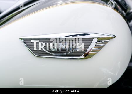 Triumph Thunderbird Commander fuel tank with badge Stock Photo