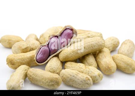Fresh boiled peanut with whole shell isolated on white background. Stock Photo