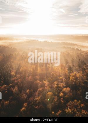 Sunbeams break through the fog over an autumnal forest, creating an atmospheric morning landscape, Gechingen, Black Forest, Germany, Europe Stock Photo