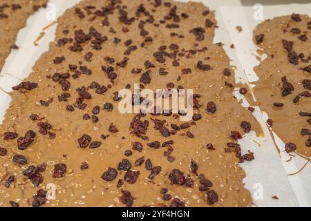 Large chocolate bar with nuts and dried fruit spread on baking paper, Burch Schokolade production, Haselstaller Hof, Gechingen, Germany, Europe Stock Photo