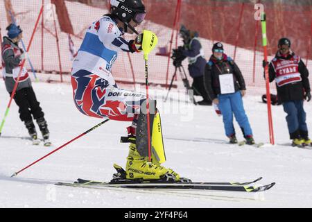 MOROZNAYA MOUNT, KAMCHATKA PENINSULA, RUSSIAN FAR EAST, MARCH 28, 2019: International Ski Federation Championship, slalom. Mountain skier Kryzl Krysto Stock Photo