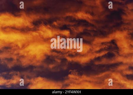 Golden clouds illuminated by disappearing rays at sunset floating across dramatic dark violet and purple thunderclouds in sky to change weather. Natur Stock Photo