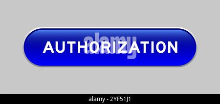 Blue color capsule shape button with word authorization on gray background Stock Vector