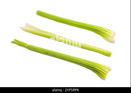 Fresh uncooked celery sticks isolated on white background, top view. Stock Photo