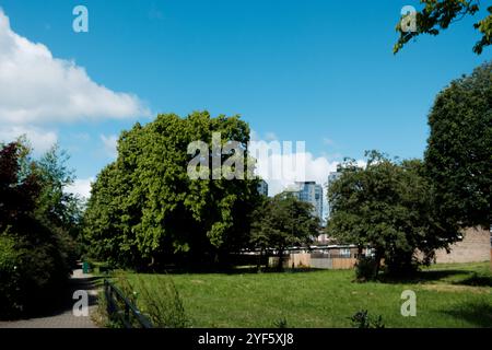 Newcastle UK: 8th June 2024: Flats residential tower blocks Elswick, Cruddas Park near scotswood on a sunny blue sky day Stock Photo