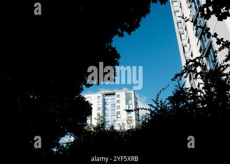 Newcastle UK: 8th June 2024: Flats residential tower blocks Elswick, Cruddas Park near scotswood on a sunny blue sky day Stock Photo