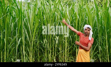 Indian farmer in white turban with crossed hands standing in front of green sugar cane field and looks into the camera with a serious face. Stock Photo