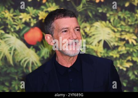 London, UK. 3 November 2024. Antonio Banderas attending the World Premiere of Paddington in Peru, at the Odeon cinema in Leicester Square. Photo credit should read: Matt Crossick/Empics/Alamy Live News Stock Photo