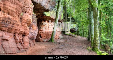 The circular trail around Altschlossfelsen winds through dense forests, showcasing the impressive sandstone formations on one side. Stock Photo