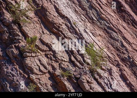 Contrasting Patterns Of Light And Shadows Carved Out Of The Red And Brown Sacramento Mountain Side With Vegetation Growing Out Of The Cracks And Crevi Stock Photo