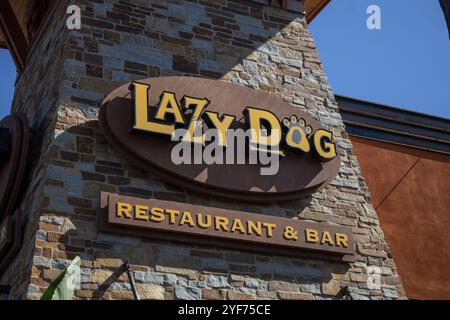 el restaurante lazy dog es una franquicia