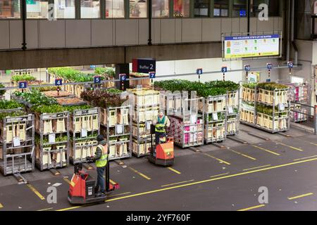 Trolleys with flowers at the largest flower auction in the world, FloraHolland in Aalsmeer in the Netherlands. Stock Photo