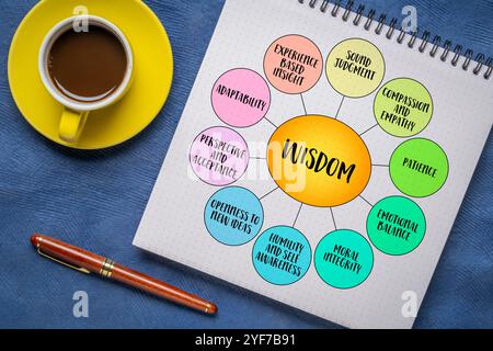 Wisdom, a deep understanding and insight that goes beyond knowledge or intelligence, diagram infographics. Stock Photo