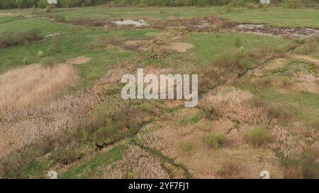 Wetlands. Video recording from a quadrocopter. Peat bogs near the swamp. Stock Photo